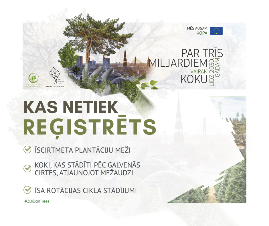Infografika