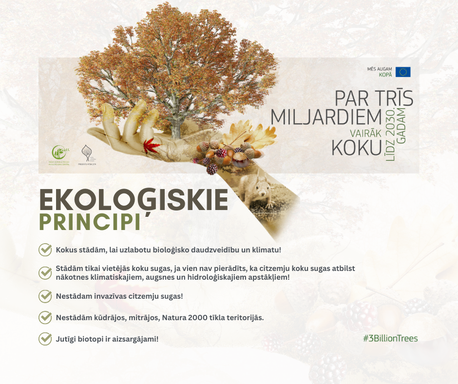 Infografika