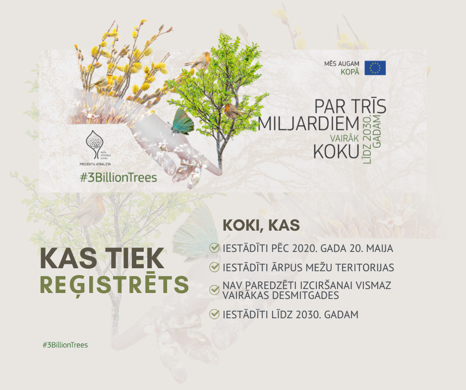 Infografika