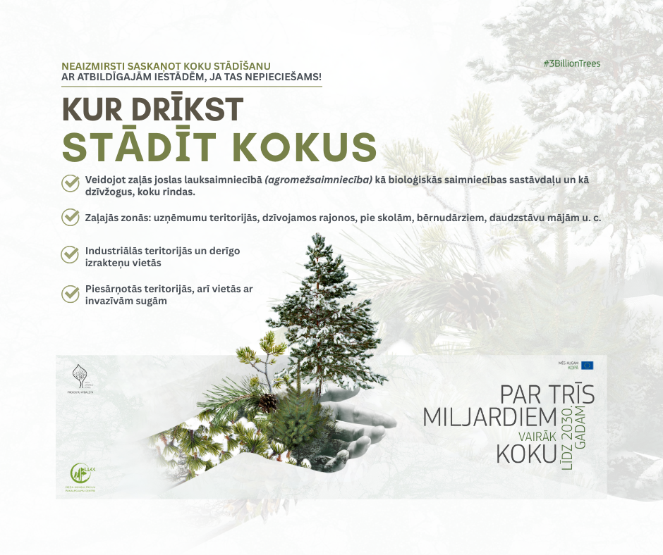 infografika